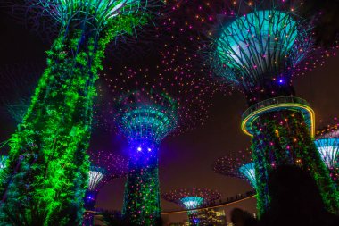 SINGAPORE, 3 EKİM 2019: Körfezin yanındaki Bahçelerin Süperağaçları