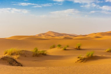 Sahra Çölü, Merzouga, Fas 'taki kumulların güzel manzarası.