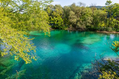 Hırvatistan 'daki Plitvice Gölü' nde turkuaz su