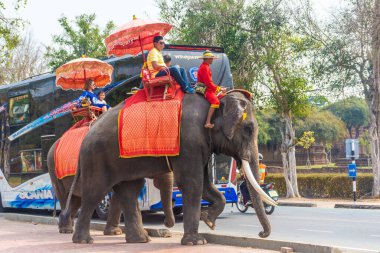 AYUTTHAYA, THAILAND, 12 HAZİRAN 2020: Ayutthaya 'ya turist taşıyan filler