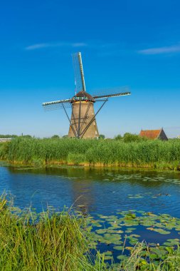 Hollanda 'nın ünlü Kinderdijk yel değirmenleri.