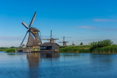 Hollanda 'nın ünlü Kinderdijk yel değirmenleri.