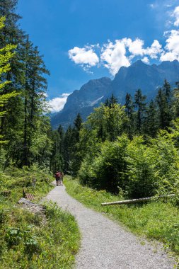 Eibsee Gölü yolu, Bavyera Alpleri, Almanya