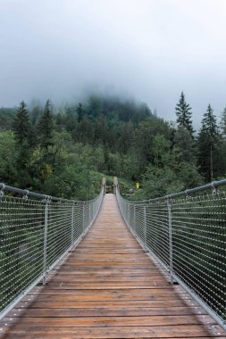 Almanya 'nın Berchtesgaden Ulusal Parkı' ndaki ormanda asılı ahşap köprü.