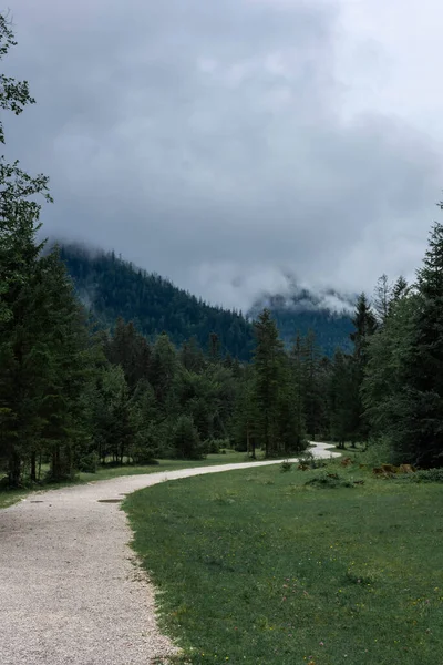 Weg Door Het Bos Nationaal Park Berchtesgaden Duitsland — Stockfoto