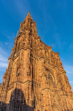 Fransa 'daki Strasbourg Katedrali