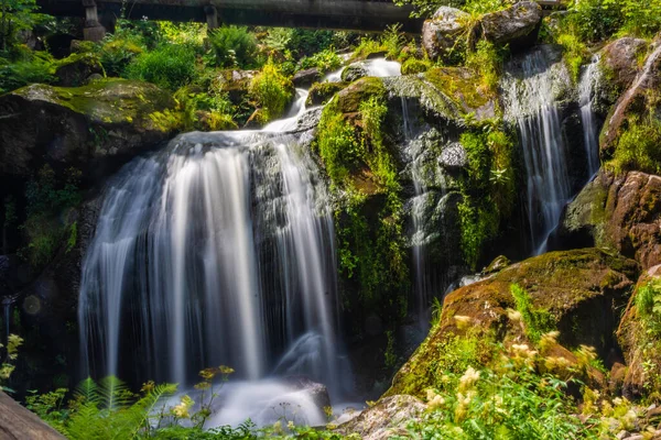 Vattenfallet Triberg Schwarzwald Tyskland — Stockfoto