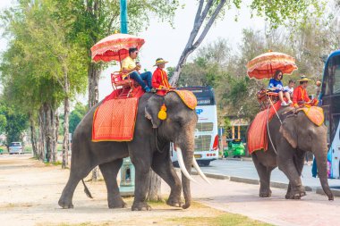AYUTTHAYA, THAILAND, 12 HAZİRAN 2020: Ayutthaya 'ya turist taşıyan filler