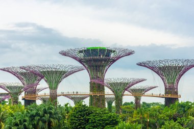 SINGAPORE, 3 EKİM 2019: Körfezin yanındaki Bahçelerin Süperağaçları
