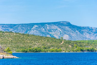 Hvar Adası manzarası ve Adriyatik Denizi ve Hırvatistan 'daki bitki örtüsü