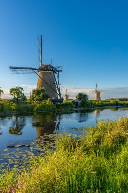 Hollanda 'nın ünlü Kinderdijk yel değirmenleri.