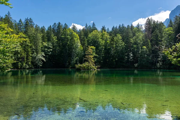 Krásné Křišťálově Čisté Jezero Lesích Bavorských Alp Německo — Stock fotografie