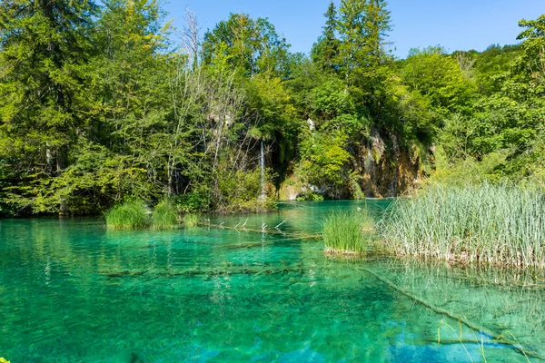 Krajobraz Parku Narodowego Jezioro Plitwickie Widok Jego Krystaliczną Wodę — Zdjęcie stockowe