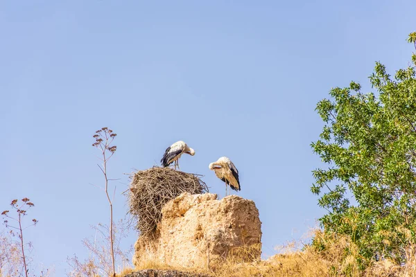 Paisagem Viagem — Fotografia de Stock