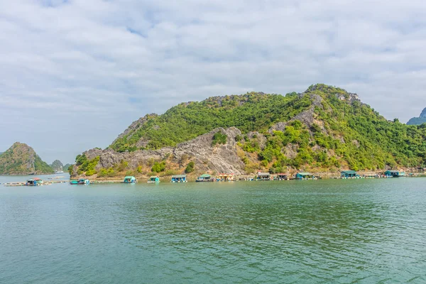 Long Bay Vietnam Januar 2020 Traditionelles Schwimmendes Dorf Auf Dem — Stockfoto