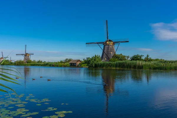 Hollanda 'nın ünlü Kinderdijk yel değirmenleri.