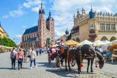 KRAKOW, POLAND, 17 HAZİRAN 2018: Krakow St M önündeki atlar