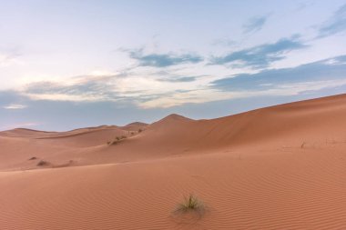 Alacakaranlıkta Sahra Çölü 'nün kumullarının güzel manzarası, Merzouga, Fas