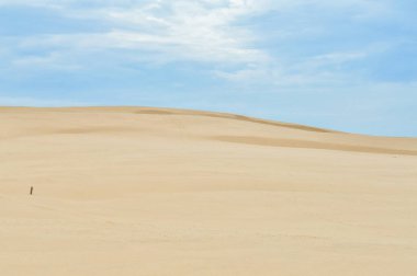 Leba 'nın kum tepeleri Polonya' nın Slowinski Ulusal Parkı çölünde