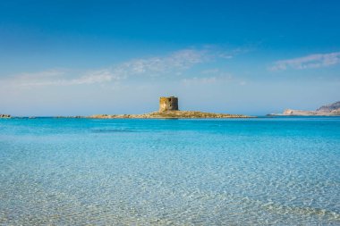 Sardinya, İtalya 'daki güzel La Pelosa Sahili