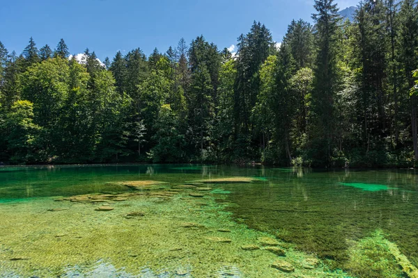 Schöner Kristallklarer See Wald Der Bayerischen Alpen Deutschland — Stockfoto