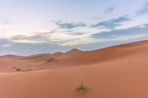 Piękny Krajobraz Wydm Sahary Zmierzchu Merzouga Maroko — Zdjęcie stockowe