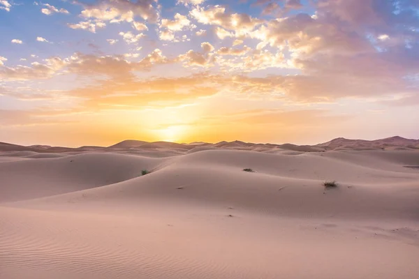 Hermoso Amanecer Desierto Del Sahara Marruecos — Foto de Stock