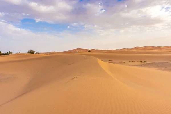 Gyönyörű Táj Szahara Sivatagban Erg Chebbi Merzouga Morokkó — Stock Fotó