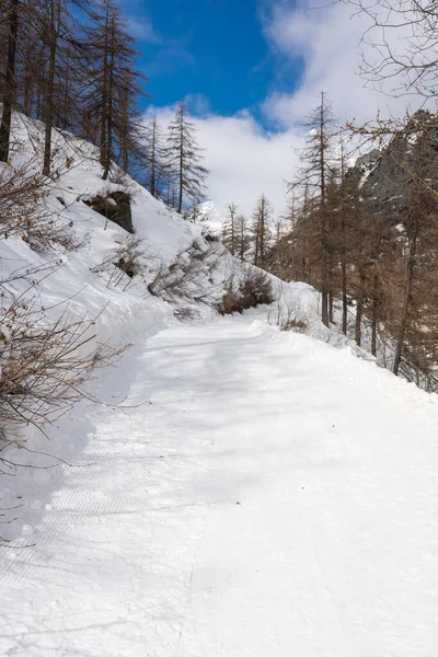 Sneeuwlandschap Pian Della Mussa Mountain Pidmont Italië — Stockfoto