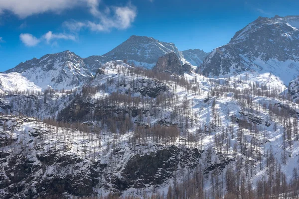 Paesaggio Innevato Nella Montagna Pian Della Mussa Piemonte — Foto Stock