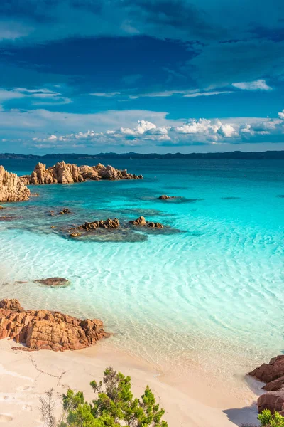 Budelli Adası, Maddalena Takımadası, Sardunya, İtalya 'daki inanılmaz pembe kumsal.