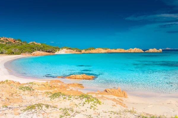 意大利撒丁岛Maddalena群岛Budelli岛令人惊奇的粉色沙滩 — 图库照片