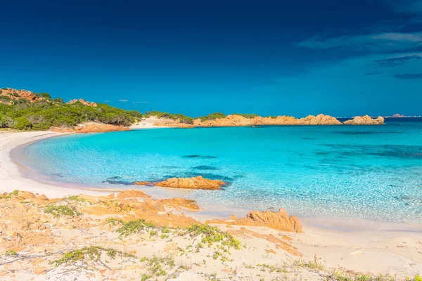 Budelli Adası, Maddalena Takımadası, Sardunya, İtalya 'daki inanılmaz pembe kumsal.