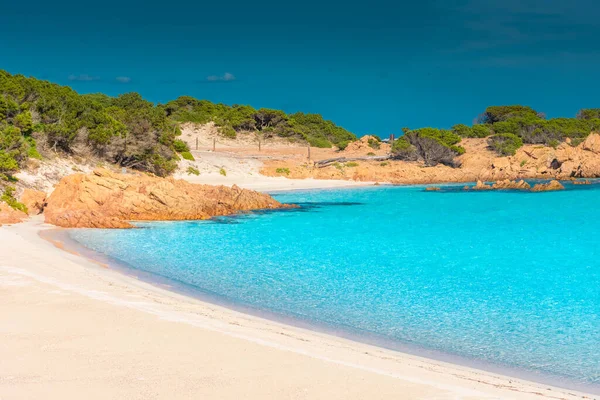 Csodálatos Rózsaszín Homokos Strand Budelli Island Maddalena Szigetcsoport Szardínia Olaszország — Stock Fotó