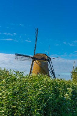 Hollanda 'nın ünlü Kinderdijk yel değirmenleri.