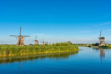 Hollanda 'nın ünlü Kinderdijk yel değirmenleri.