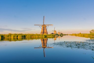 Hollanda 'nın ünlü Kinderdijk yel değirmenleri.