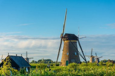 Hollanda 'nın ünlü Kinderdijk yel değirmenleri.
