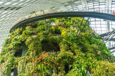 ŞARKI, 3 EKİM 2019: Singapur 'daki Bulut Ormanı