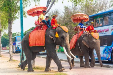 AYUTTHAYA, THAILAND, 12 HAZİRAN 2020: Ayutthaya 'ya turist taşıyan filler