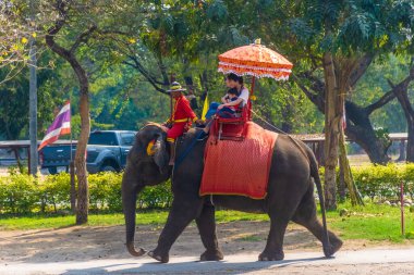 AYUTTHAYA, THAILAND, 12 HAZİRAN 2020: Ayutthaya 'ya turist taşıyan filler