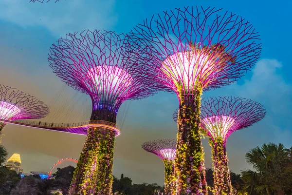 Singapur Octubre 2019 Los Superárboles Los Jardines Junto Bahía —  Fotos de Stock