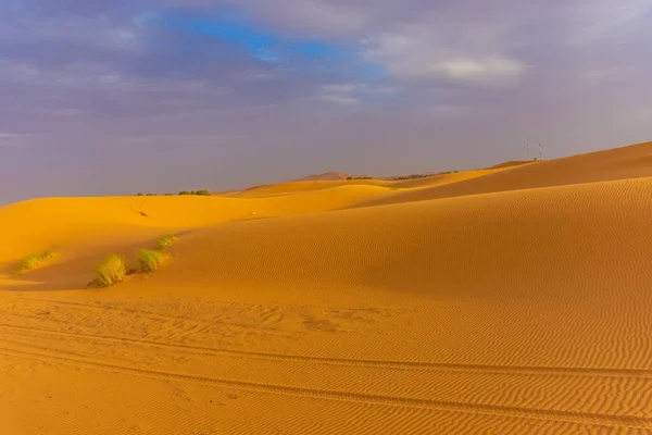 Gyönyörű Táj Dűnék Szahara Sivatagban Merzouga Marokkó — Stock Fotó