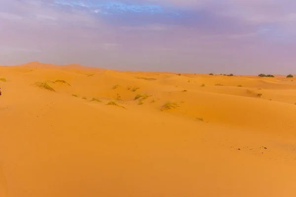 Piękny Krajobraz Wydm Sahary Zmierzchu Merzouga Maroko — Zdjęcie stockowe