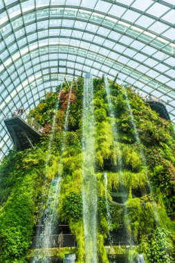 ŞARKI, 3 EKİM 2019 Singapur Bulut Ormanı Şelalesi