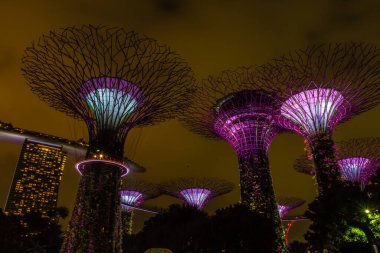 SINGAPORE, 3 EKİM 2019: Körfezin yanındaki Bahçelerin Süperağaçları