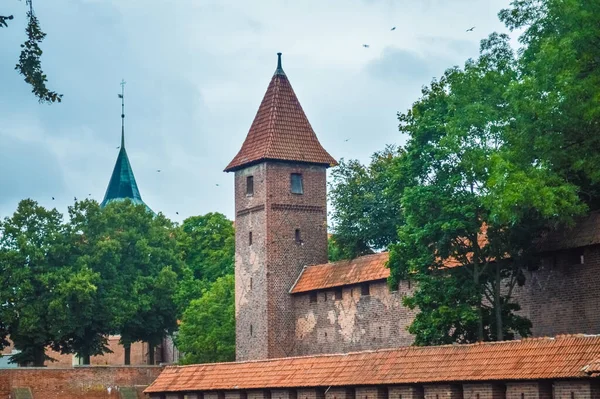 Mura Del Castello Malbork Polonia — Foto Stock