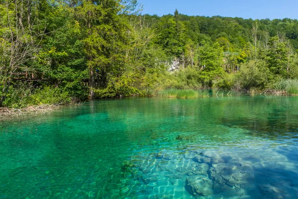 Tájkép Plitvicei Nemzeti Park Kilátás Kristályvíz — Stock Fotó