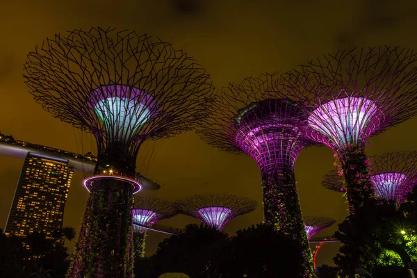 Cingapore Outubro 2019 Superárvores Dos Jardins Junto Baía — Fotografia de Stock