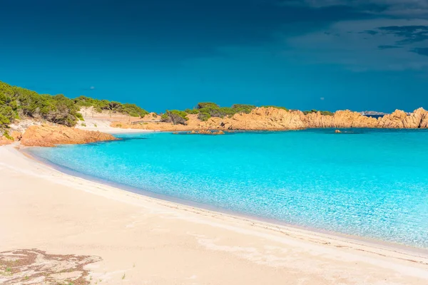 Csodálatos Rózsaszín Homokos Strand Budelli Island Maddalena Szigetcsoport Szardínia Olaszország — Stock Fotó